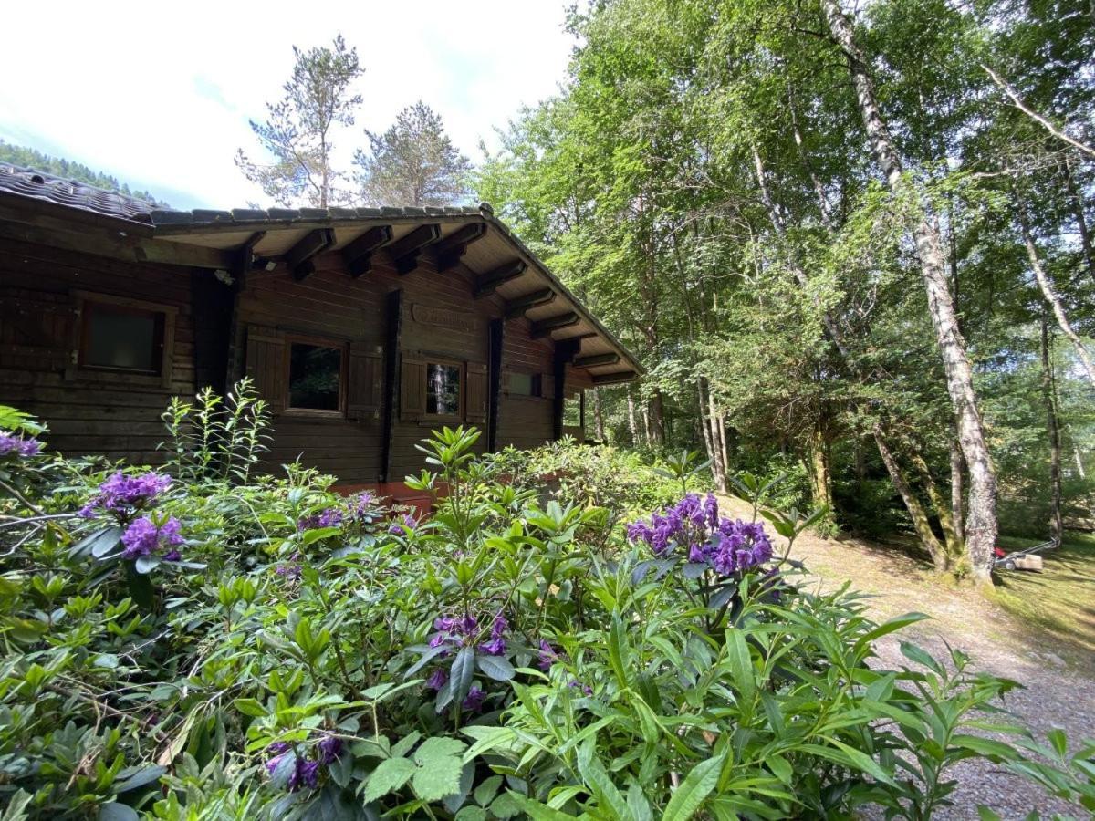 Le Fishing En Bois Avec Bain Nordique Chalet La Bresse